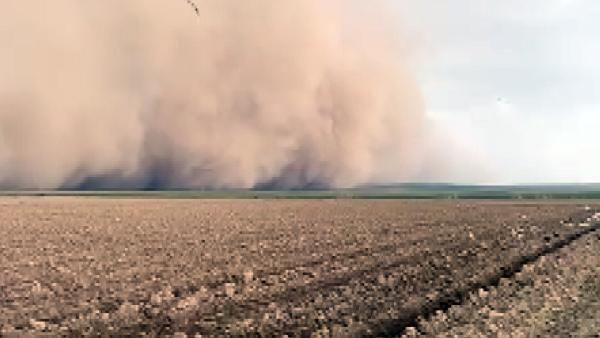 Korkutan görüntü! Konya'da kum fırtınası çıktı ağaçlar, direkler devrildi araçlar hasar gördü - Resim: 2