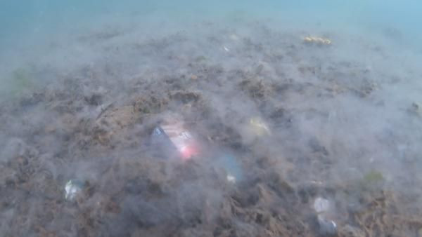 Marmara'da salya kabusu sürüyor! Denizin üstü kadar dibi de korkunç - Resim: 2