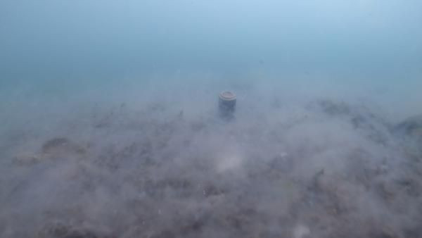 Marmara'da salya kabusu sürüyor! Denizin üstü kadar dibi de korkunç - Resim: 3