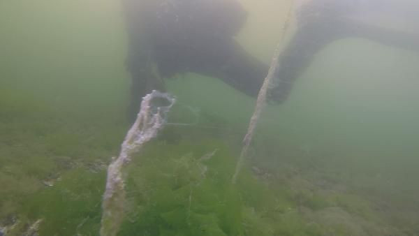 Müsilajın su altındaki etkisini görüntüleyen dalgıç: Aşağıda büyük bir felaket yaşanıyor - Resim: 1