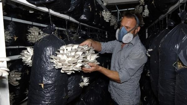 Edirne'de iktisat mezunu iş ararken bu işe başladı güzel para var - Resim: 2