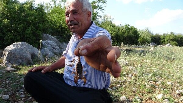 'Beni sokan akrep ve arılar öldü' deyip anlattı! Adana'da görenler inanamadı - Resim: 1