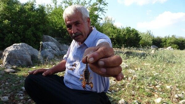 'Beni sokan akrep ve arılar öldü' deyip anlattı! Adana'da görenler inanamadı - Resim: 3