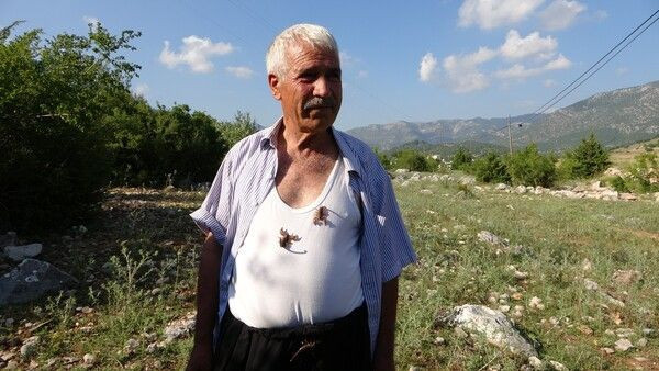 'Beni sokan akrep ve arılar öldü' deyip anlattı! Adana'da görenler inanamadı - Resim: 4