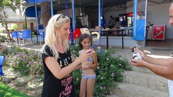 Mersin'deki bu kedi Türkiye'de ilk eşi benzeri yok: Çok büyük rakamlara satmamı istediler - Resim: 2