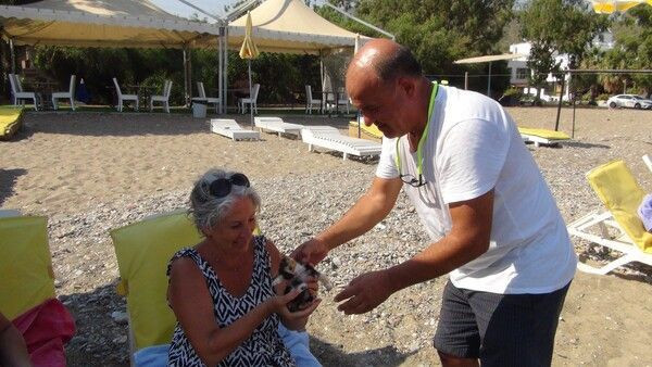 Mersin'deki bu kedi Türkiye'de ilk eşi benzeri yok: Çok büyük rakamlara satmamı istediler - Resim: 1