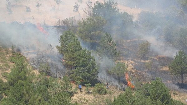 Uşak'ta 2 yangın birden! Ekipler seferber oldu: 1 kişi gözaltına alındı - Resim: 3