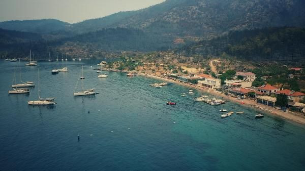 Görenlerin yüreği sızladı! Bodrum ve Milas yangının ardından simsiyah oldu - Resim: 3