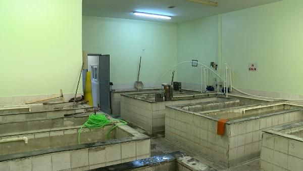 Karot laboratuvarında ürküten sonuç! 2000 öncesi yapılarda tahta ve deniz kabuğu çıktı - Resim: 4