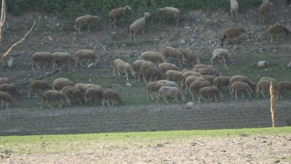 İstanbul için tehlike çanları çalıyor! Korkutan görüntüler ortaya çıktı - Resim: 4