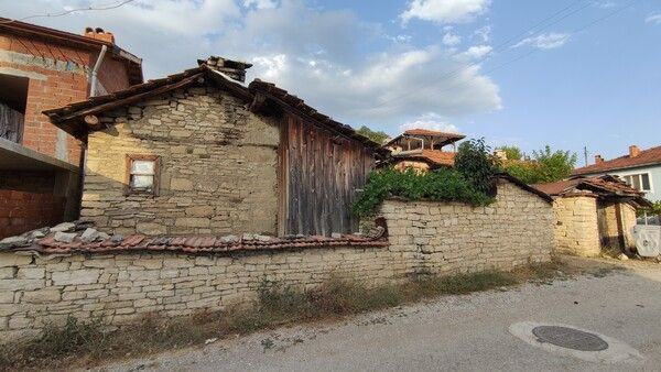 Bursa'da gören hayran kaldı! Ömürlerine ömür katıyorlar: 300 yıla kadar ömrü olur - Resim: 4