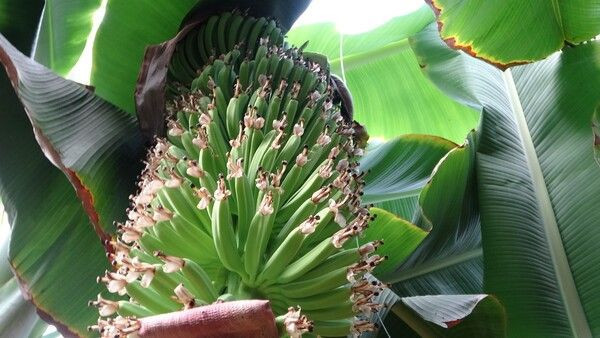 'Yapamazsın' diyenlere inat öğretmenliği bırakıp Adana'da bu işe başladı! Siparişlere yetişemiyor - Resim: 3