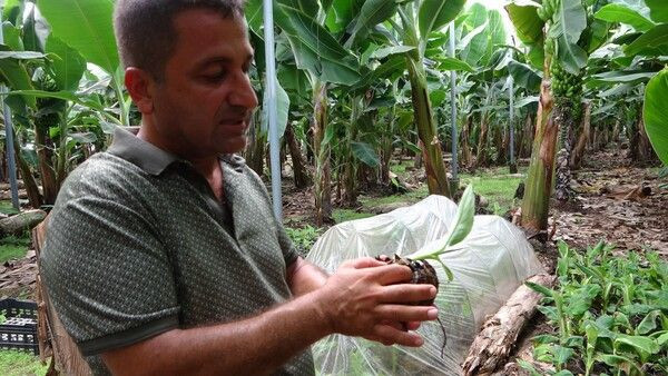 'Yapamazsın' diyenlere inat öğretmenliği bırakıp Adana'da bu işe başladı! Siparişlere yetişemiyor - Resim: 2