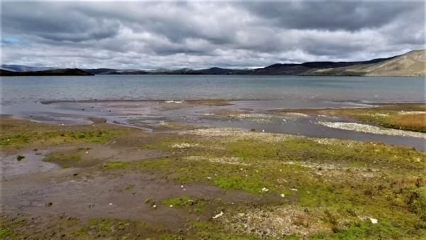 Korkutan görüntü! Çıldır Gölü'nde sular 10 metre çekildi - Resim: 2