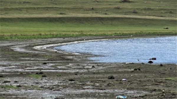 Korkutan görüntü! Çıldır Gölü'nde sular 10 metre çekildi - Resim: 4