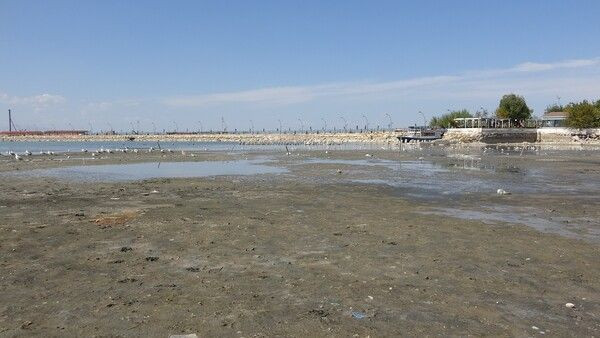 Van Gölünde sular çekilince endişelendiren görüntü ortaya çıktı! İlk kez... - Resim: 2
