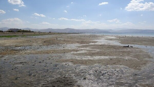 Van Gölünde sular çekilince endişelendiren görüntü ortaya çıktı! İlk kez... - Resim: 1