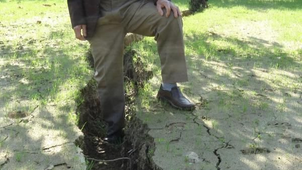 Aydın'da tarlaya gidince fark etti! Görenler şaştı kaldı: 2 metre... - Resim: 2