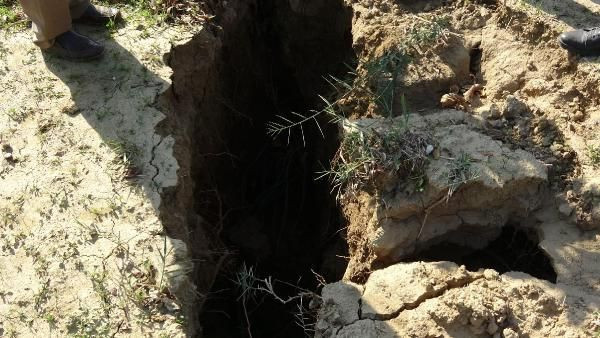 Aydın'da tarlaya gidince fark etti! Görenler şaştı kaldı: 2 metre... - Resim: 4