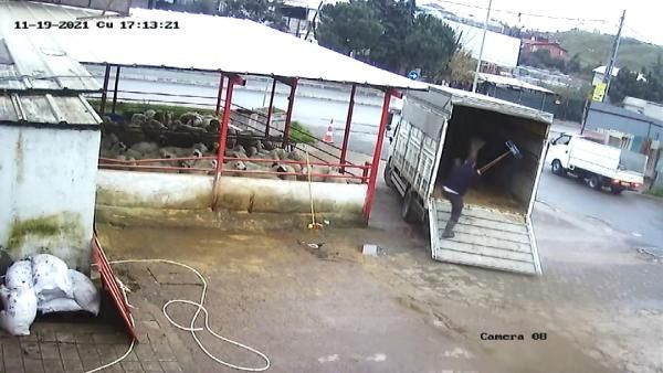 İstanbul'da bir garip olay! Fırçayla durdurmak istediği dana hastanelik etti - Resim: 2