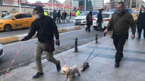 İzin alıp İstanbul'da getirdi gören inanamadı! Tasma takıp Taksim'de gezdirdi - Resim: 3