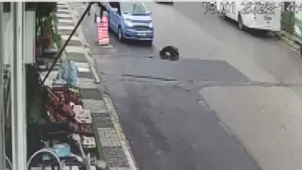 Maltepe’de arızalanan aracını kontrol ederken otobüs çarptı - Resim: 3