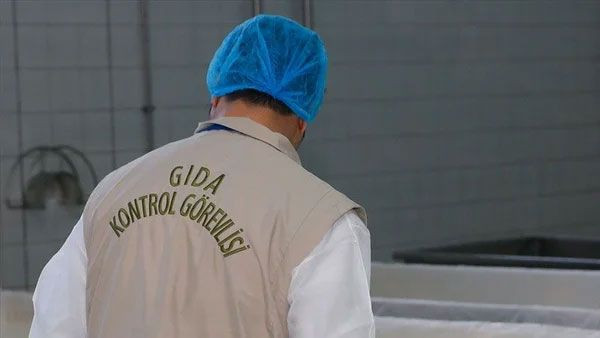 2025'in ilk listesi açıklandı! Mide bulandırdı...Kıymaya at ve eşek eti, peynire mantar ilacı... - Resim: 2