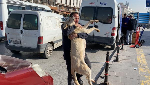 Konya Valiliği'nin kapısına dayandı! 'Neden katlediyorsunuz?' deyip isyan etti - Resim: 0