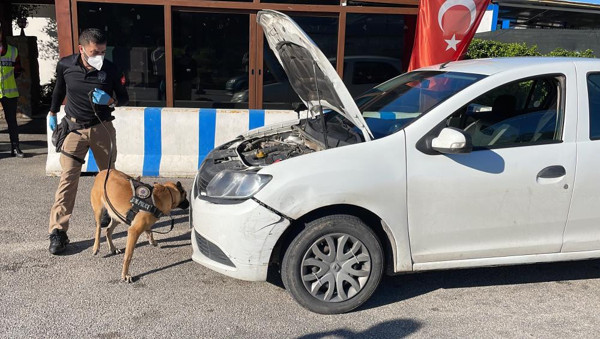 Bodrum'da oteller doldu, trafik kilitlendi: Günde 2 bin kişi giriş yapıyor - Resim: 0