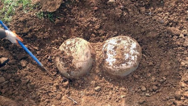 Diyarbakır'da PKK'ya darbe! Toprağa gömülü bulundu - Resim: 3