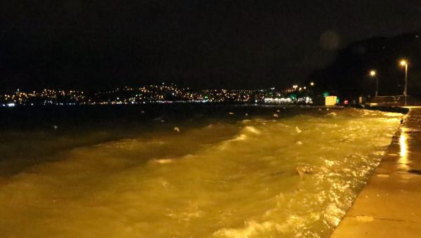 İstanbul'u fırtına ve yağış vurdu! Ağaç minibüsün üzerine devrildi - Resim: 4