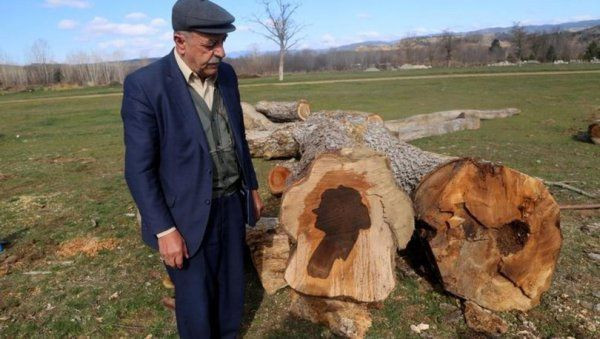 Kastamonu'da ilginç olay! Ağacın gövdesinden kadın silüeti çıktı - Resim: 3