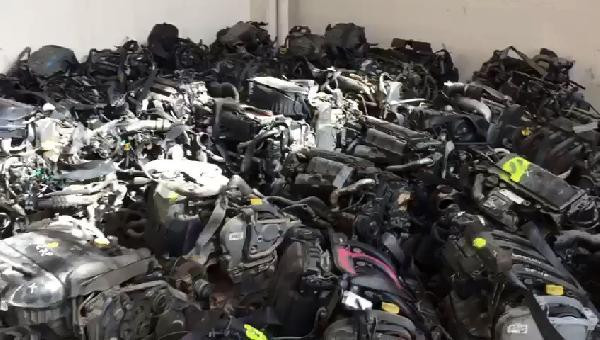 Görenler gözlerine inanamadı! Tam 118 tane... - Resim: 1