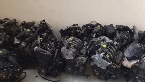 Görenler gözlerine inanamadı! Tam 118 tane... - Resim: 2