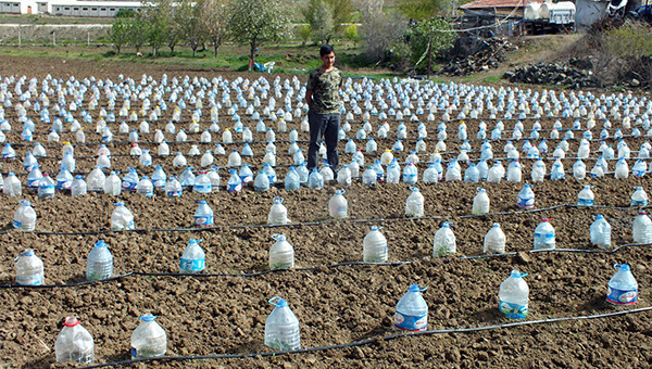 Hurdacıdan aldığı 3 bin pet şişeyle sera yaptı! - Resim: 3