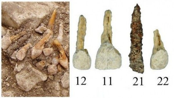 Eski Mısır'da kullanılan 1600 yıllık en eski diş macunu tarifini deneyin! - Resim: 4