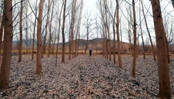 Saadet Partisi Turhal adayı Mustafa Şahin ağaçlara konuştu - Resim: 0