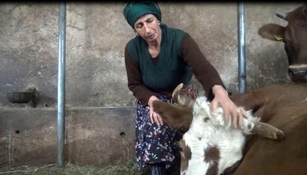 Trabzon'da gözyaşlarına boğuldu başından ayrılmadı: Çaresiz ölmelerini bekliyoruz - Resim: 1