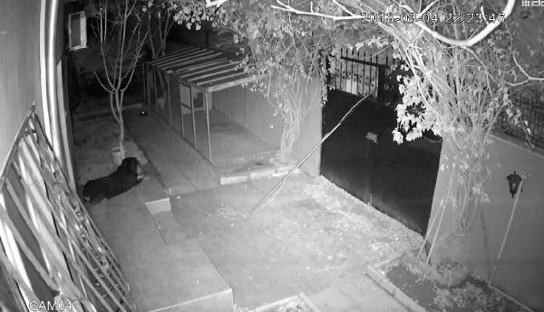 Soymak için günlerce plan yaptıkları kasa boş çıkınca... - Resim: 2