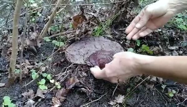 'Hazine bulduğumu söylediler' dedi! Muğla'da tarlada şans eseri buldu - Resim: 3