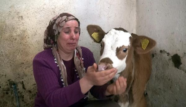 Anlatırken gözyaşlarına boğuldu! Trabzon'da üzüntüden yere yığıldı - Resim: 1