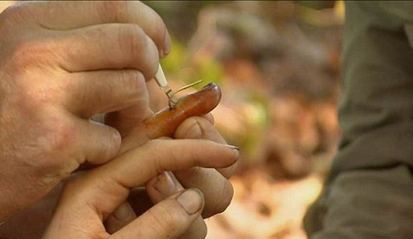 İngiliz Survivor yarışmasında şok - Resim: 4