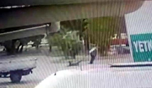 İzmir'de yaşlı şahıs, köpeği ayaklarından bağlayıp sürükledi! 'Adam öldürmedim' - Resim: 0