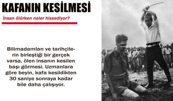 İnsan ölürken ne hisseder? - Resim: 3