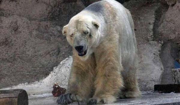 Dünyayı ayağa kaldıran işkence - Resim: 2