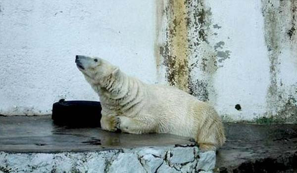 Dünyayı ayağa kaldıran işkence - Resim: 4