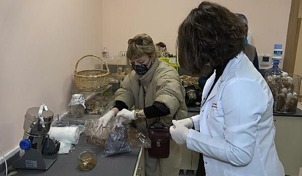 Çay yapılıp içiliyor fiyatını duyan şaştı kaldı! Düzce'de üretildi ekonomiye katkı sağlıyor - Resim: 2