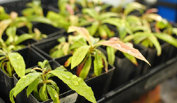 Bilim insanları açıkladı! Sadece 20 dakika sürüyor - Resim: 0