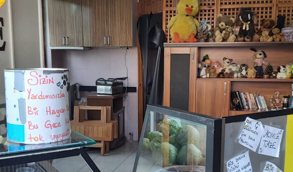 Kastamonu'da yazıyı gören para atmadan geçemiyor! Alkışlanacak hareket - Resim: 1