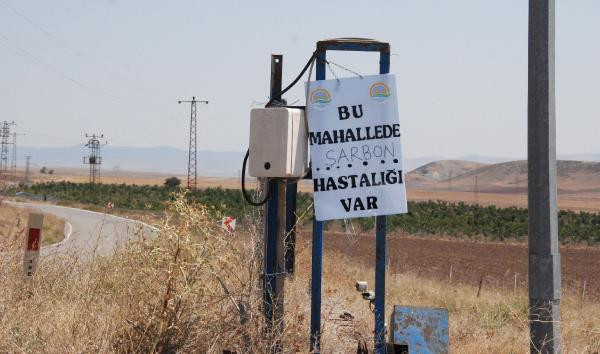 İşte Ankara'daki 'şarbon'lu çiftlik! Büyük endişe yaşanıyor - Resim: 3